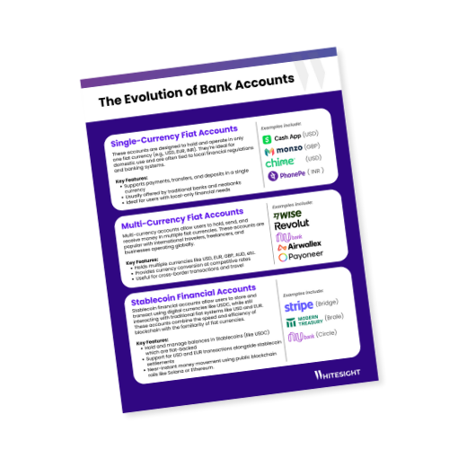 Infographic detailing the evolution of bank accounts, including single-currency fiat, multi-currency fiat, and stablecoin financial accounts, with their key features and examples.
