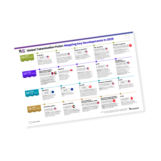 Infographic titled 'W/S Global Tokenisation Pulse: Mapping Key Developments in 2025' showing a timeline of major asset tokenization events by financial institutions like JP Morgan, Circle, BlackRock, and Franklin Templeton across Q1 to Q4 of 2025.
